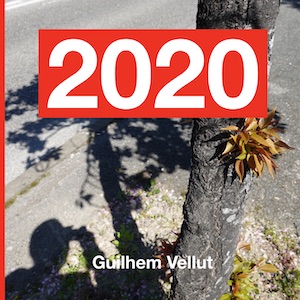 Book cover for 2020 Photobook